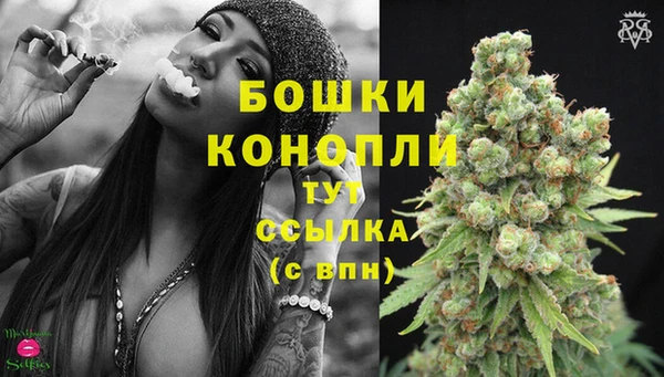 шишки Медногорск