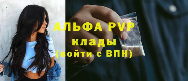 шишки Медногорск