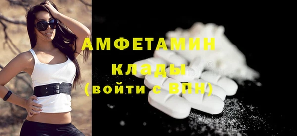 шишки Медногорск