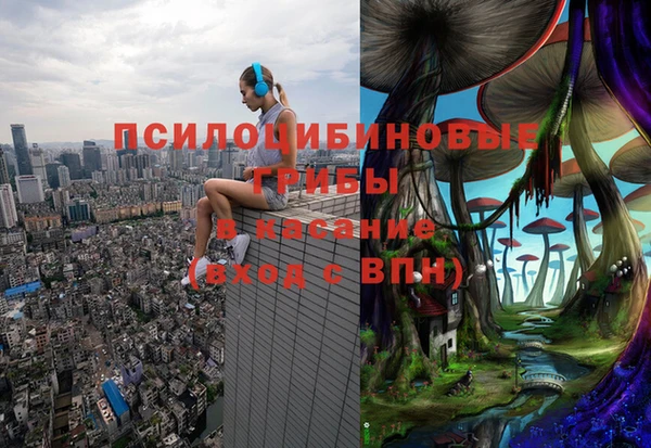 крисы Медвежьегорск