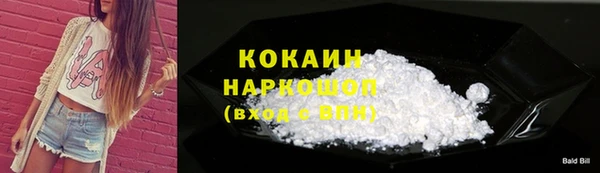 шишки Медногорск
