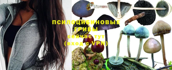 шишки Медногорск