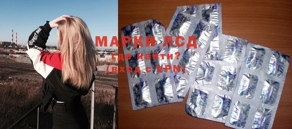 шишки Медногорск
