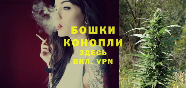 крисы Медвежьегорск
