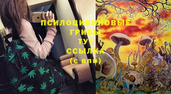 МДПВ Магадан