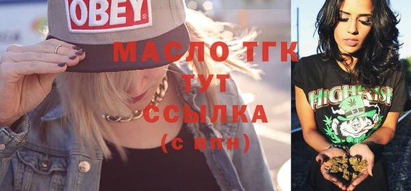шишки Медногорск
