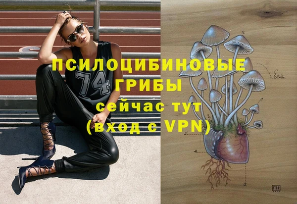 шишки Медногорск