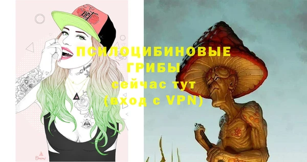 шишки Медногорск