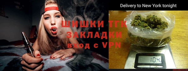 шишки Медногорск